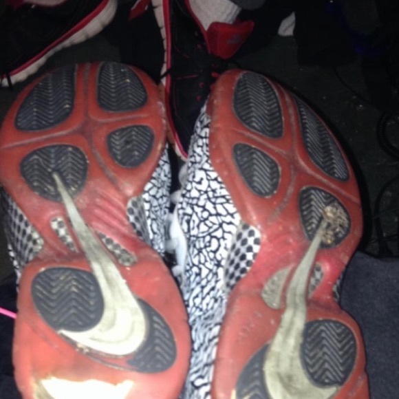 Foamposite Elephant Print Limited Edition.