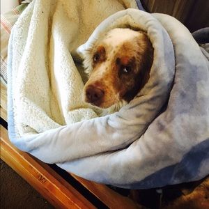 Meet your Posher, Omar