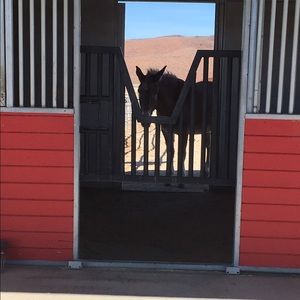 Meet your Posher, Miracle