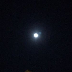 Meet your Posher, Ashli