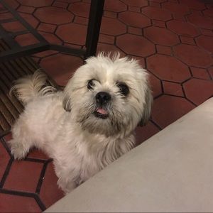 Meet your Posher, Sandy