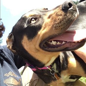 Meet your Posher, Gabe