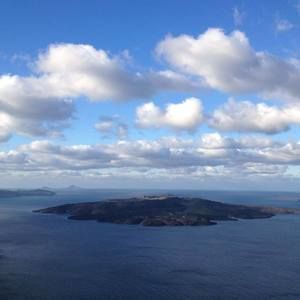 Meet your Posher, Stella