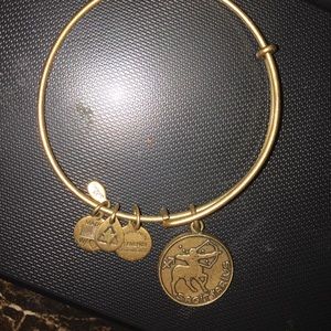 Alex & Ani Sagittarius bracelet
