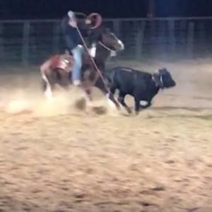 Meet your Posher, Brice