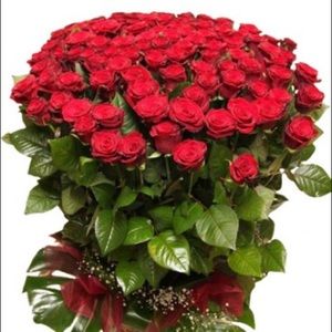 Meet your Posher, Mayra