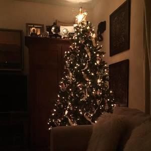 Meet your Posher, Bill