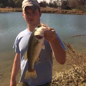 Meet your Posher, Don