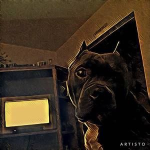 Meet your Posher, Beverly