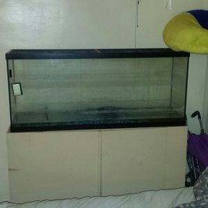 Over 100 gallon fish tank