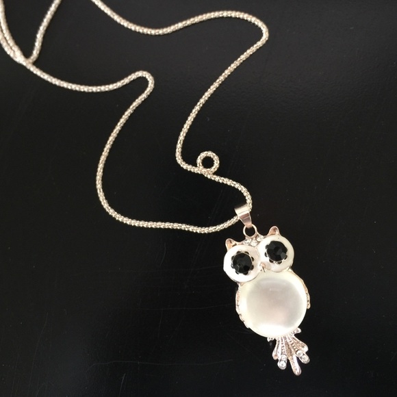 24" Long Silver Necklace & Owl Pendant - Picture 2 of 4