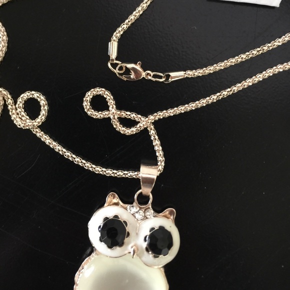 24" Long Silver Necklace & Owl Pendant - Picture 3 of 4