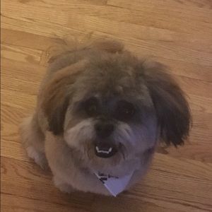 Meet your Posher, Aline