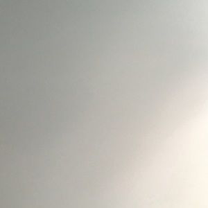 Meet your Posher, Lily