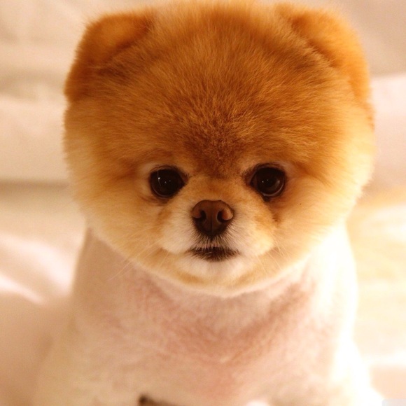 COMING SOON!! STAY TUNED!!! - Picture 4 of 4