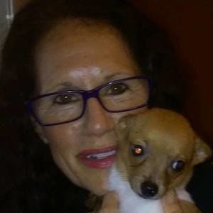 Meet your Posher, Rene