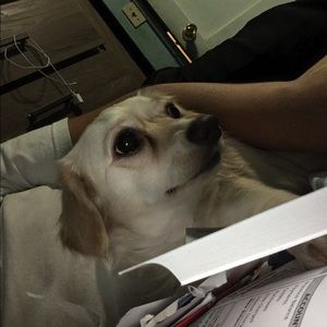 Meet your Posher, Kenneth