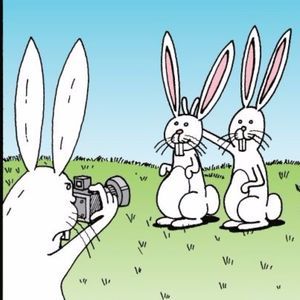 Meet your Posher, Annie