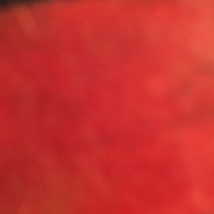 Meet your Posher, Ramona