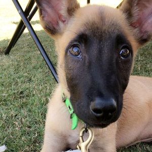 Meet your Posher, Barbara