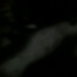 Meet your Posher, Dallal