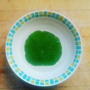 Meet your Posher, Trinity