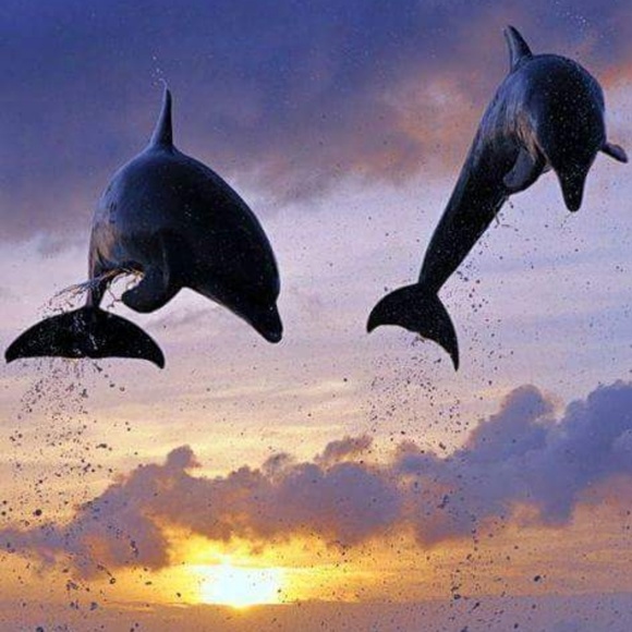 Meet your Posher, Holli - Picture 2 of 8