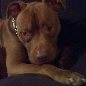 Meet your Posher, Jay