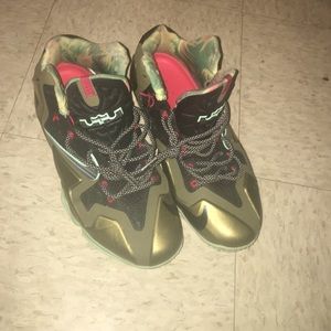 Lebrons size 9.5