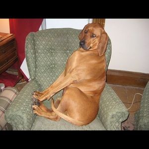 Meet your Posher, John