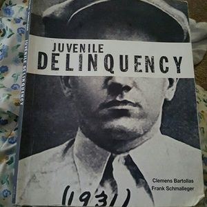 Juvenile delinquency college book