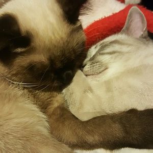 Meet your Posher, Joelle