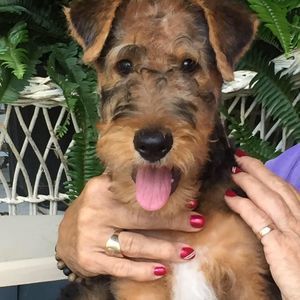 Meet your Posher, Nancy