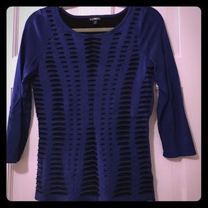 Blue Express Sweater