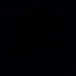 Meet your Posher, Blanca