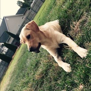 Meet your Posher, Donna