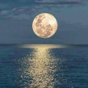 Meet your Posher, Amymarie