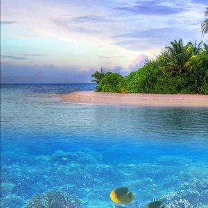 Meet your Posher, Jane