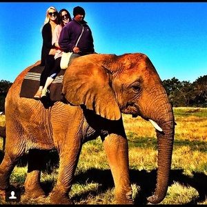 Meet your Posher, Haley