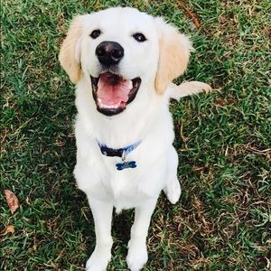 Meet your Posher, Leigh ann