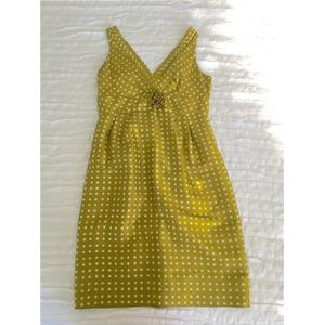 J Crew Polka Dot Dress