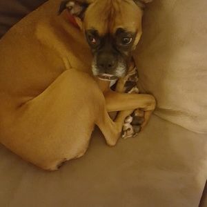 Meet your Posher, Canace