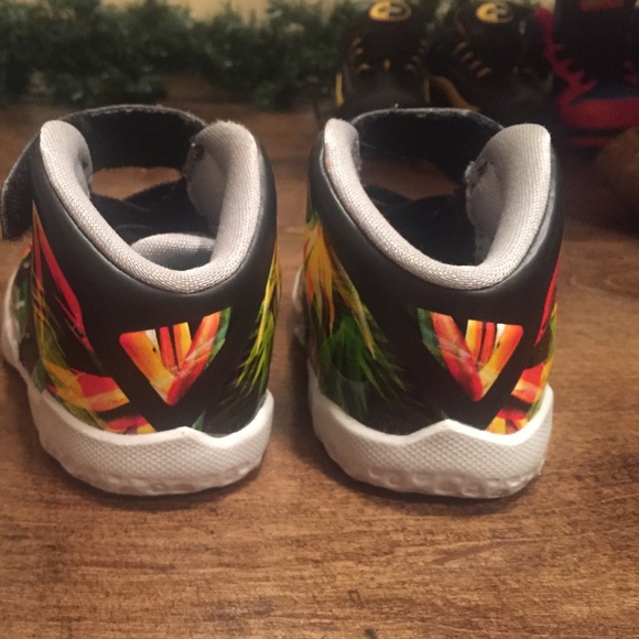 Lebrons - Picture 2 of 4