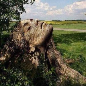 Meet your Posher, Kat