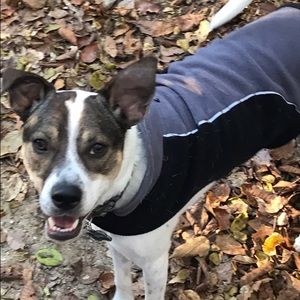 Meet your Posher, Colleen