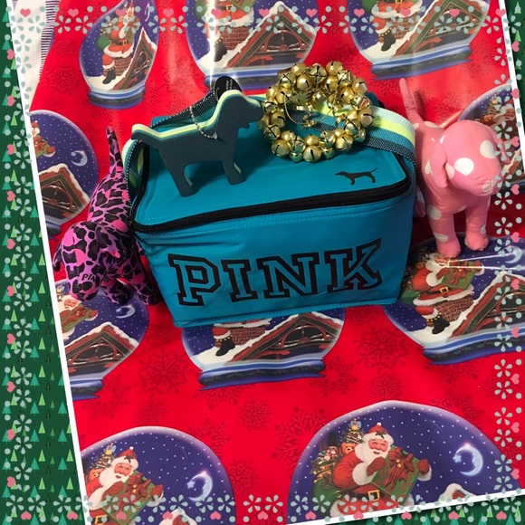 🎀PINK COOLER🎀w keychain🎀NWOT🎀🆓2 Med Doggies✅