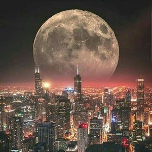 Meet your Posher, Rodrigo