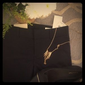 Club Monaco Renay Slim Crop Pants