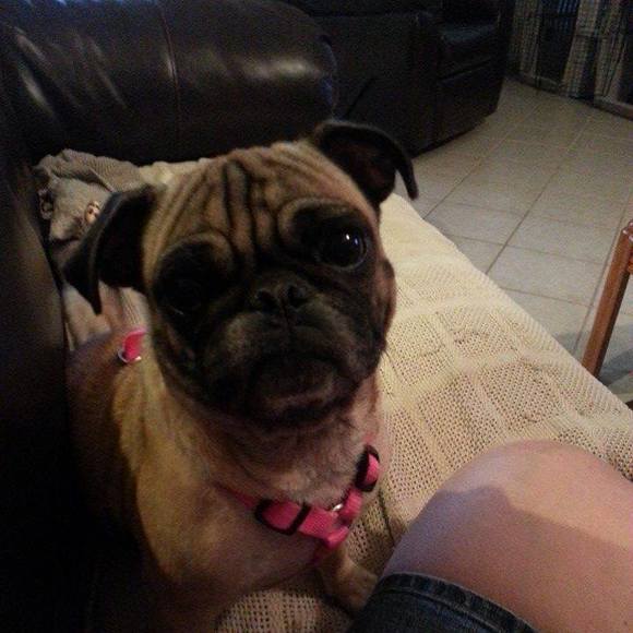 Meet your Posher, Stacey - Picture 1 of 1