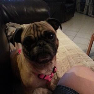 Meet your Posher, Stacey